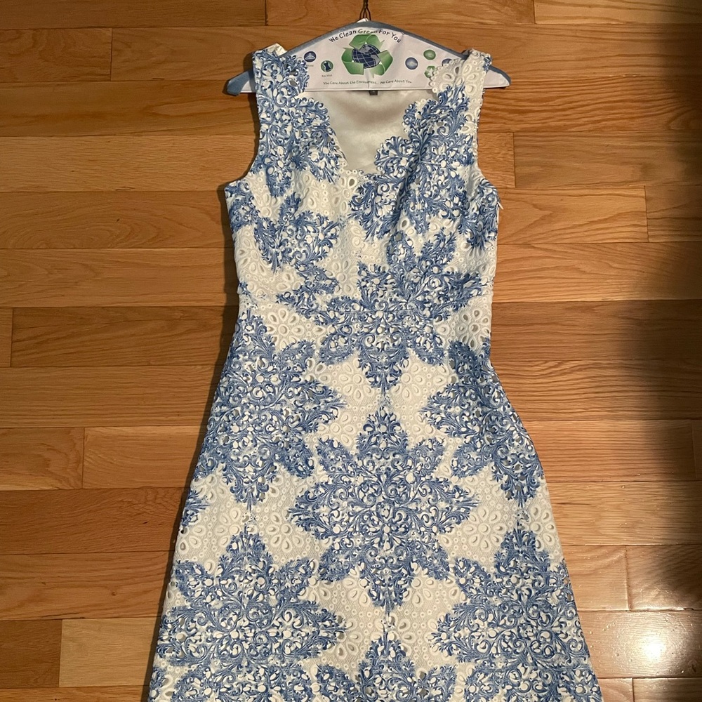 Beautiful blue and white dress